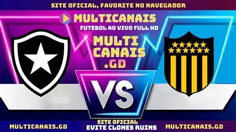 botafogo x fluminense ao vivo multicanais